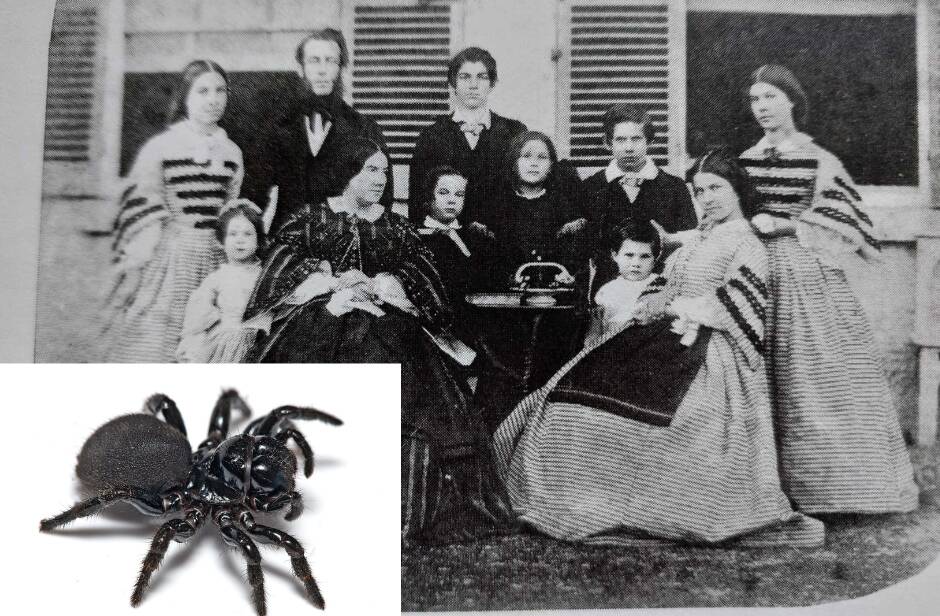 Henry Houghton Burton Bradley (6th from left), was an Australian arachnologist and ancestor to an Armidale family. The Eastern Mouse Spider is named after him. The photograph was taken in 1860 in Cooper Street, Paddington, Sydney. Picture supplied. 