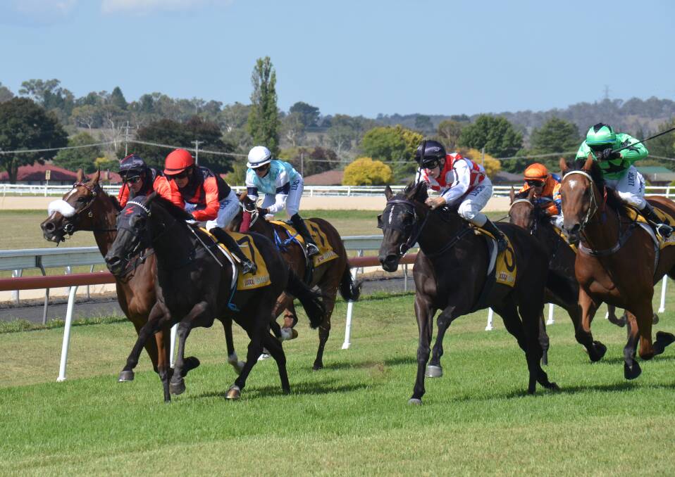 GALLOPING: Exilia Miss (red and white silks) gets home at Armidale Jockey Club on Monday.