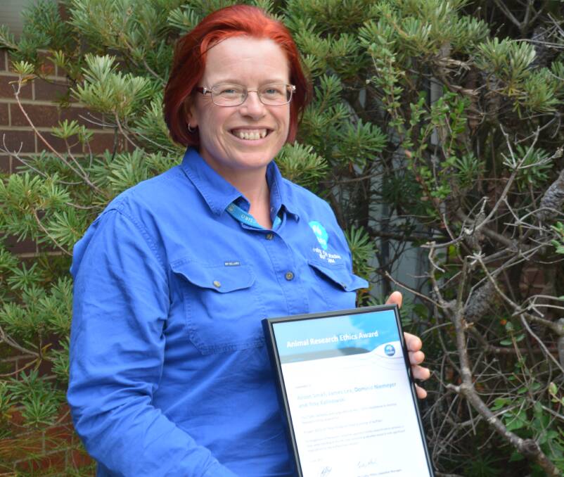 Award winners: Dr Alison Small and her team recently won an ethics award for their pilot program addressing better slaughter practices for buffalo in northern Australia.