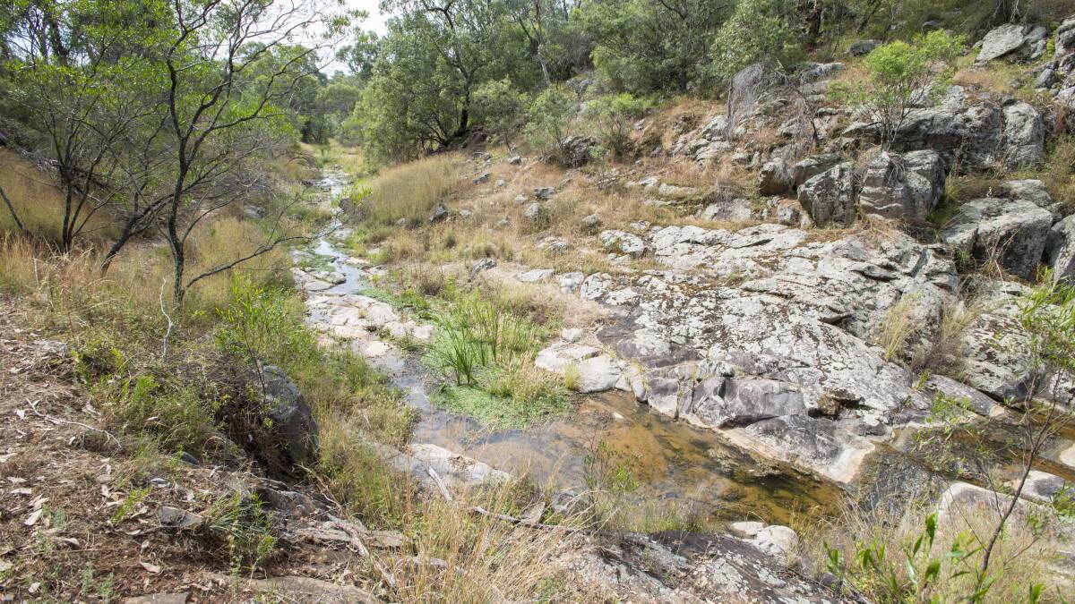 HIDDEN GEM: Secret Valley is Steve Mair's favourite part of the park, with both a bike and walking track going right along it. Photo: Peter Hardin 141216PHF008