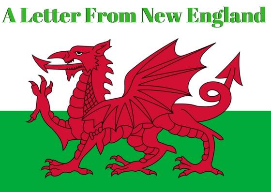 Celebrating St David’s Day | A Letter From New England