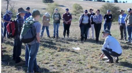 Participants in the pasture management workshop at RYAG Sheep in 2017