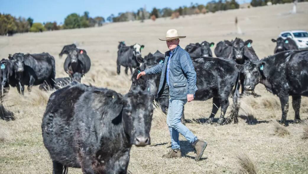 Braidwood farmer Martin Royds has managed the drought after introducing soil science techniques and making a lot of management changes to minimise the effects of drought, fires and climate change. Photo: Karleen Minney