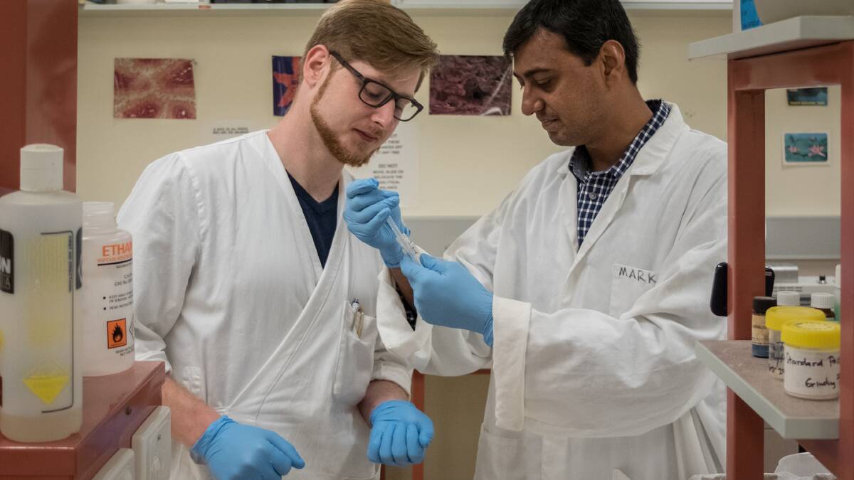 DAAD exchange students Florian Metzger, from Germany, and Zafar Iqbal, from Pakistan, collaborate on a shared poultry nutrition project at the University of New England.