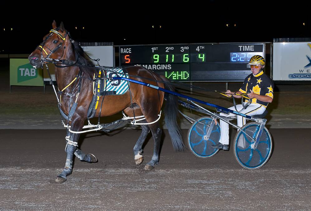 BLISTERING: Mitch Faulkner and Onedin Highlander after winning the $10,000 Pub Group Gold Nugget at Tamworth Paceway. Photo: PeterMac Photography