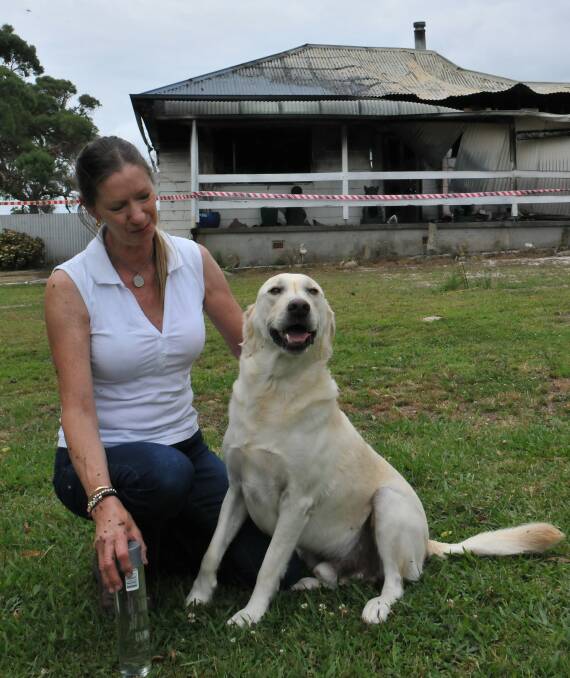 Buddy the hero: Red Range resident Judy Scrivener with her hero Buddy after fire tore through their home on Friday.