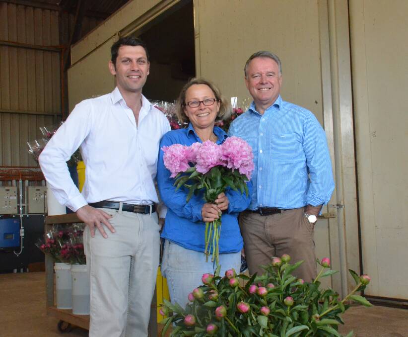 PASSIONATE BUSINESS: New England by-election candidate David Ewings with Guyra Flower Farm owner Christine Gellie and Shadow Minister for Agriculture Joel Fitzgibbon on Wednesday. Photo: Rachel Baxter.