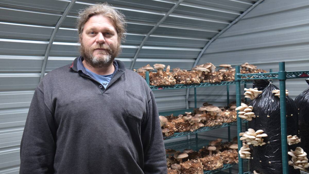 MUSHROOM BUSINESS: Gabe Staats is one of the few people who grows mushrooms from scratch.