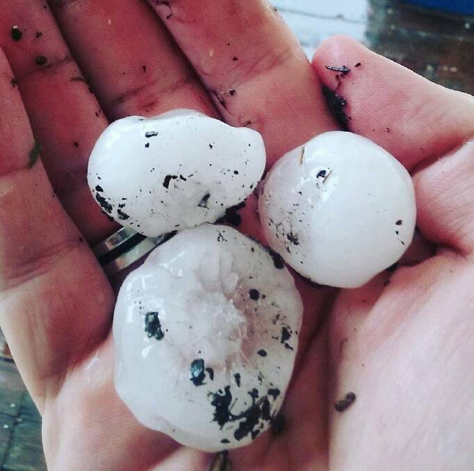 FAST-MOVING STORM: Hail the size of golf balls in Narrabri at 3pm on Monday. Photo: John Tough.