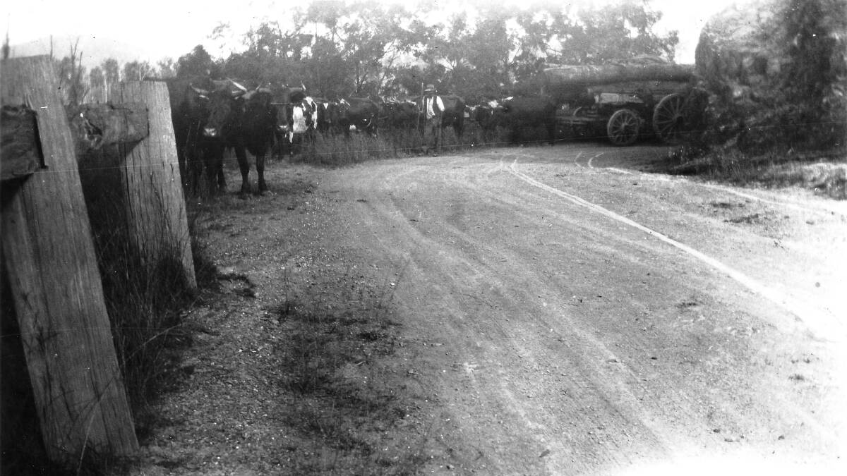 Long trip: The Kempsey-Armidale Road in the 1920s. It wasn't always easy for students to get to Armidale over New England's dreadful roads, and the trip could leave them feeling quite sick.