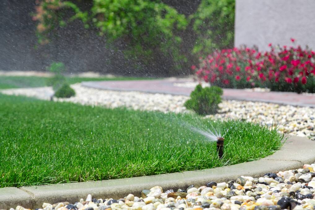 Precious water: There are ways to water your garden effectively during the dry times of the year.