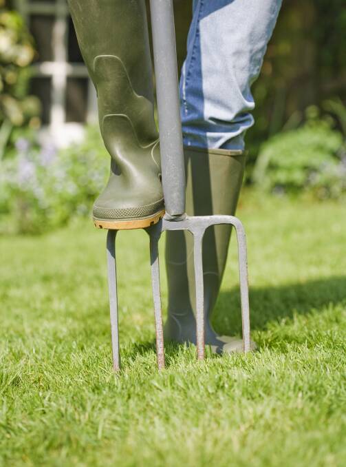 Get ready: The secret to great new lawns is planning ahead.