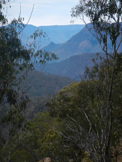Migration: The evidence suggests that the ancestors of the Anaiwan might have settled the tablelands from the Macleay Valley via the falls country 5000 plus years ago.