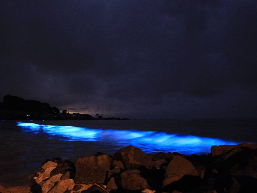 Preserved on film: Bioluminescence is caused by distressed phytoplankton. Picture: Sarah Kubank