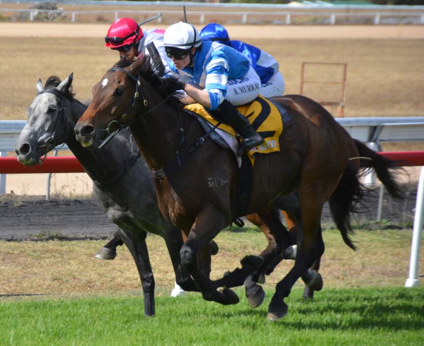 There will be plenty of racing action in Armidale on Saturday. 