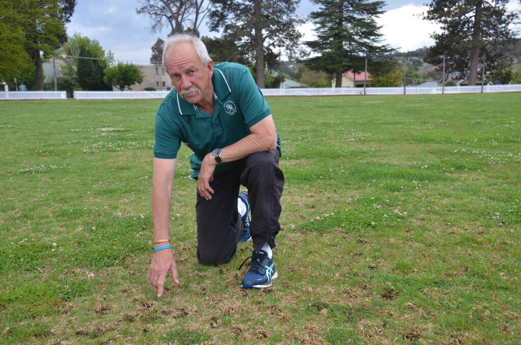 NOT HAPPY: Armidale Cricket president Mike Porter was disappointed with poor scheduling for field maintenance at four grounds. 
