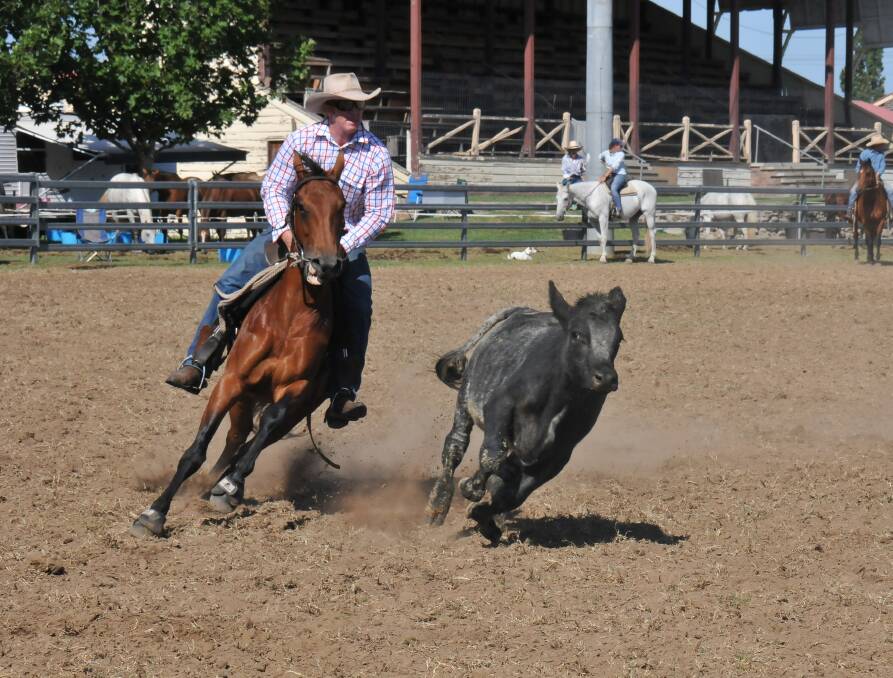 SPEED AND SKILL: The 42nd annual Armidale Campdraft is back again at the showground from this Friday with three days of competition. 