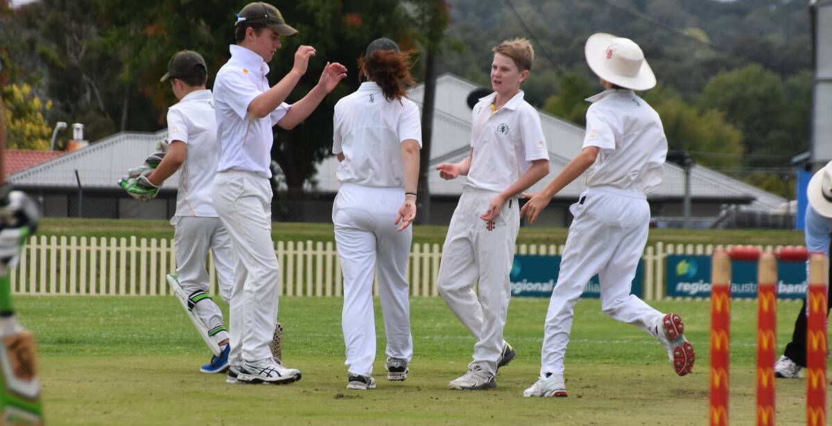 C'MON KIDS: Armidale Cricket has had a drop in the number of junior teams registered to play this year. 
