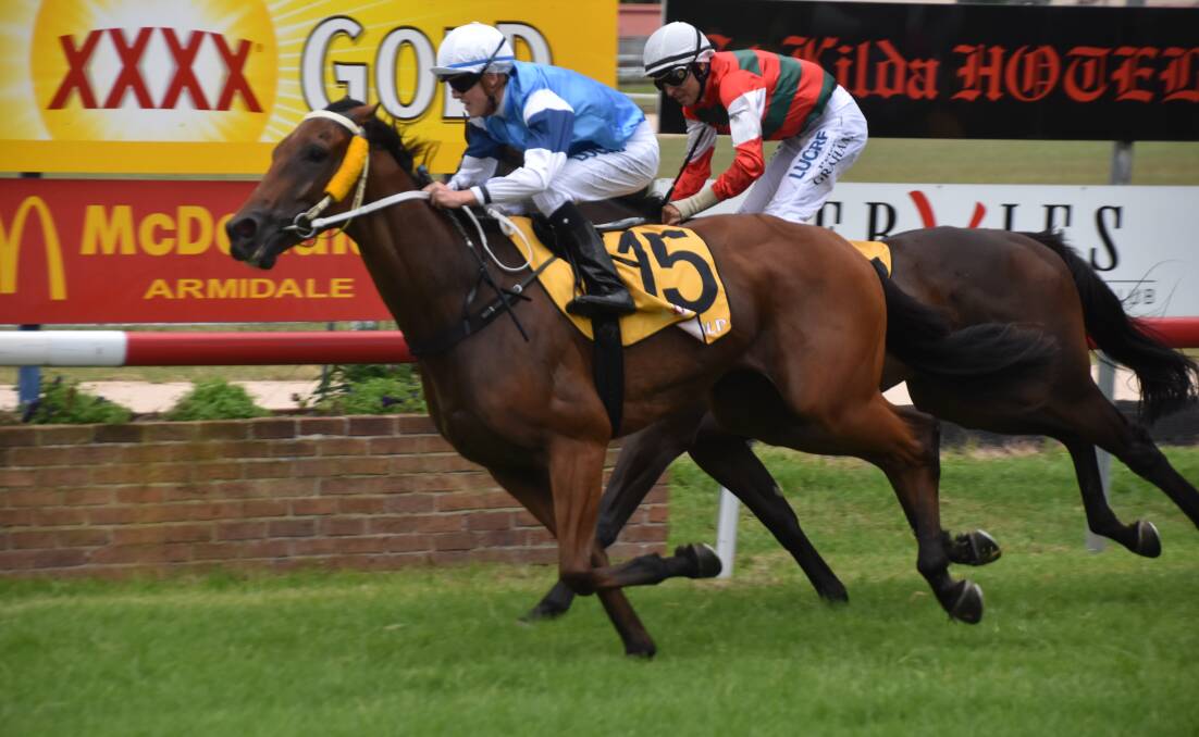 BACK AGAIN: Last year's Armidale Cup winner, Carry On Jake, was nominated for this year's 1900m race. 