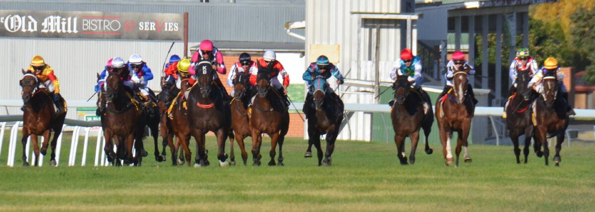 Niccobelle held the pace early in the Guyra Cup. 