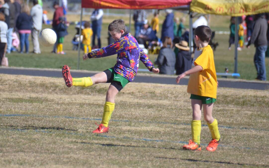 INTO ACTION: The Rologas playing fields were flooded with junior soccer players for the annual Jack Vallance carnival on Sunday. 
