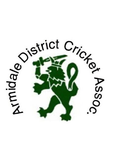 Armidale Cricket's juniors have made an impact.