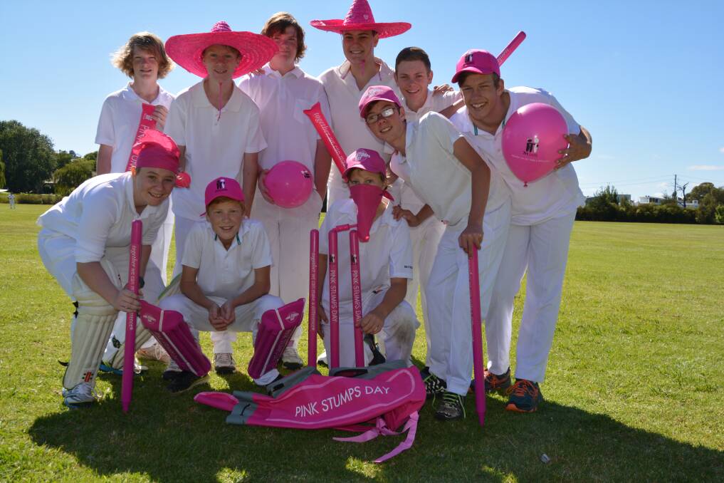Teams in previous years have got into the spirit of Pink Stumps day. The annual McGrath Foundation fundraiser is back this Saturday. 