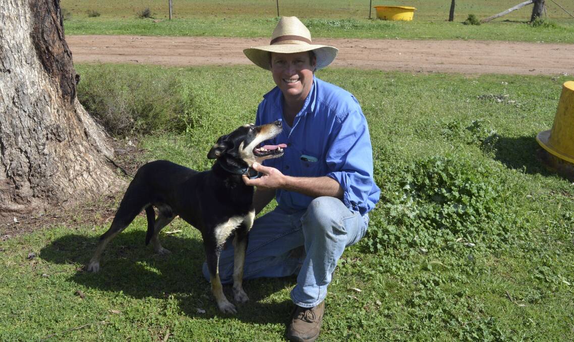 MAN'S BEST FRIEND: Matt Ehsman and his dog Minute are part of the three week Cobber Challenge to track working dogs in their natural environment. Ehsman breeds working dogs on his property. 