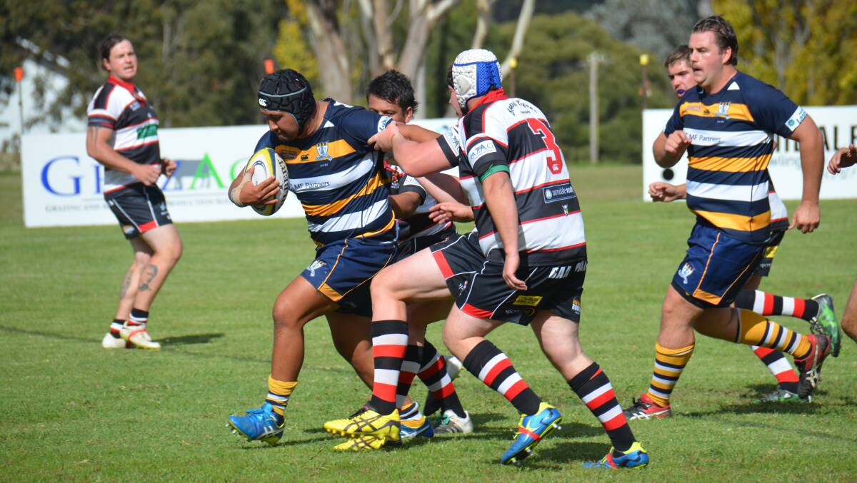 CLEANSWEEP: Armidale Blues' Te Kapua surges forward in the Blues' second grade 31-17 win against the Barbarians on Saturday. The club won all three grades while the Baa Baas' women were too good in the sevens. 