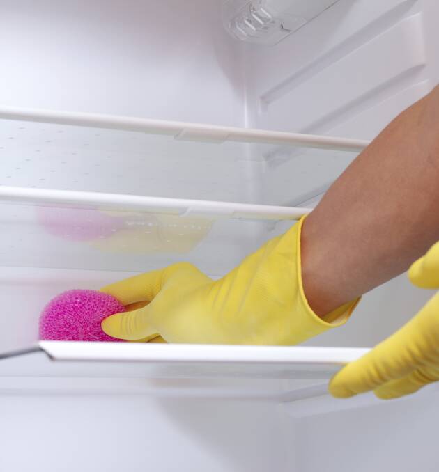 LURKING: The drawers and shelves in your fridge are a hot spot for salmonella, listeria and other nasties.