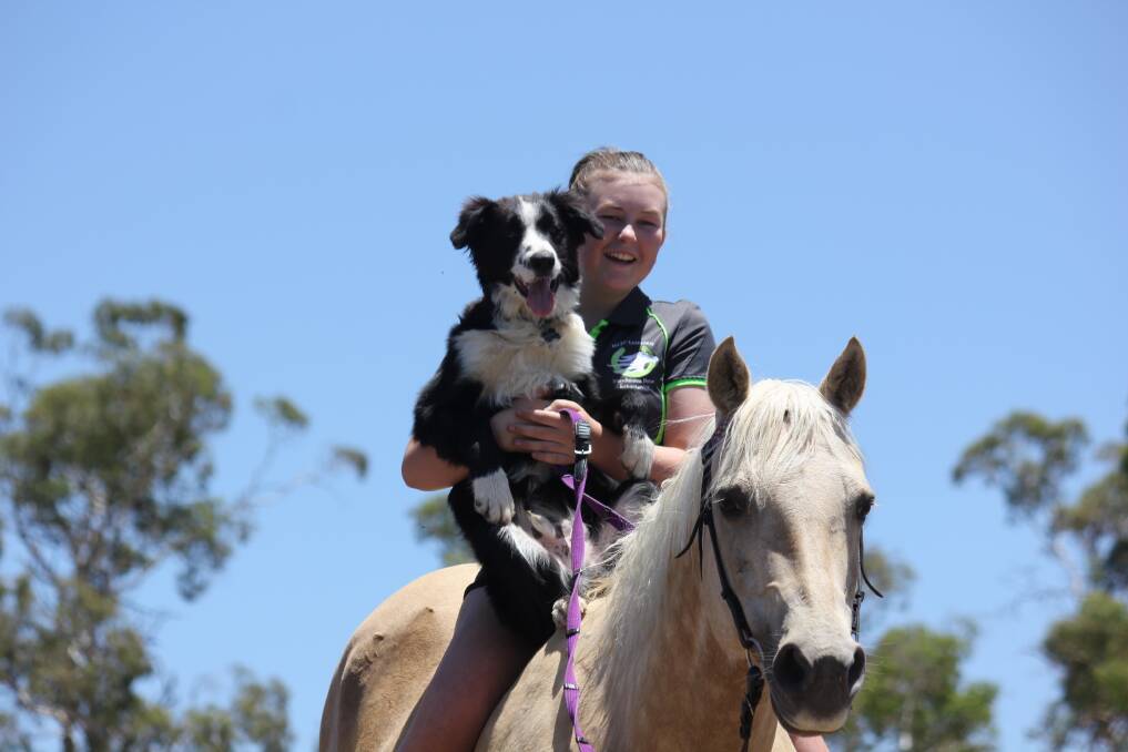 GIDDY UP: Queen's Baton Relay baton bearer Sara Lynch with dog Bruno and horse Eddie, who she hopes she can ride in the relay in February.