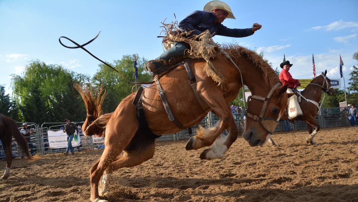 RIDE ON: Entertainers, riders and musicians are preparing to show off their skills at the Uralla Thunderbolt's Festival and Thunderbolt Rodeo.