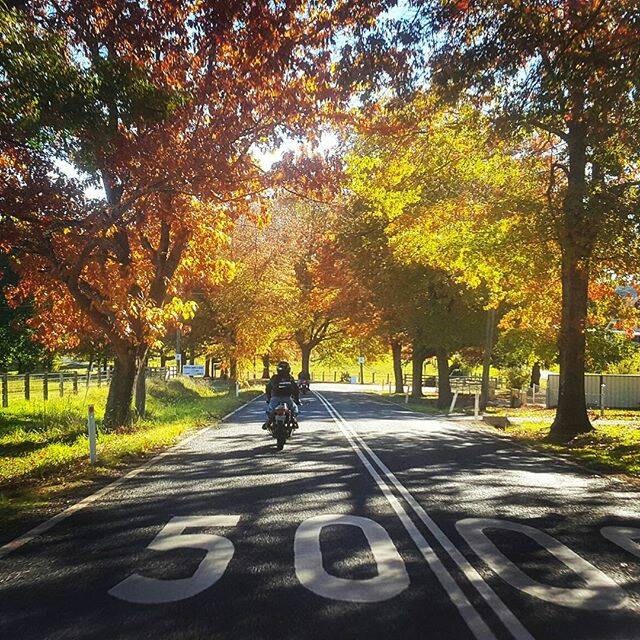 PIC OF THE DAY: This awesome shot was captured by @jiali.tsai near Tenterfield.