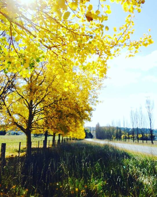PIC OF THE DAY: This stunning shot was captured by @deelightfulfinds near Walcha.