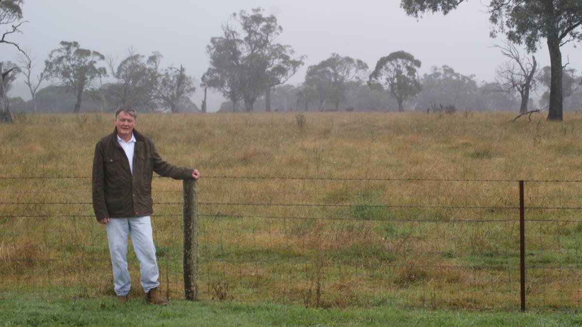 LAND SAKES: Bryson Wade at the contested 26 hectares of land, Ebor village.  Photo: Philip Rothwell.