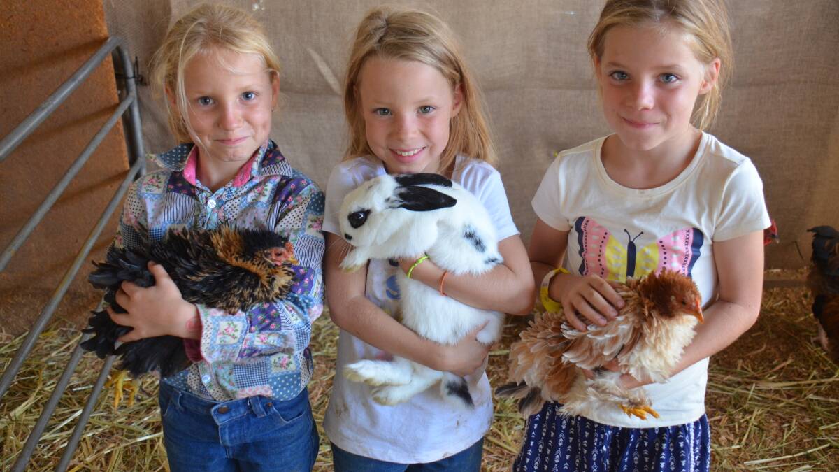 The Armidale Show opened on Friday, March 2.