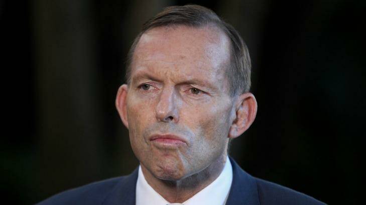 Business leaders say leadership instability involving Prime Minister Tony Abbott is harming confidence. Photo: Alex Ellinghausen