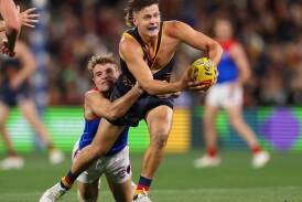 Jake Soligo is instrumental to Adelaide's hopes of a revival after a horrid start to the season. (Matt Turner/AAP PHOTOS)