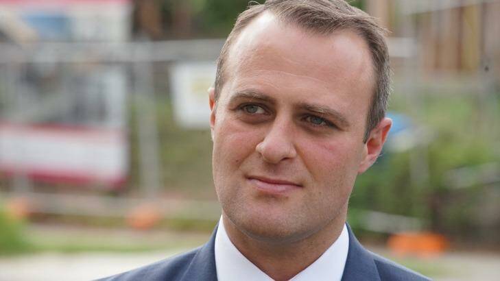 Tim Wilson was one of at least 10 Coalition MPs who spoke on the same-sex marriage issue in Tuesday's party room meeting. Photo: Luis Ascui