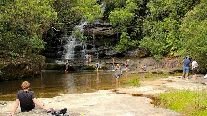 Somersby Falls is a popular picnic spot on the Central Coast Photo: National Parks NSW