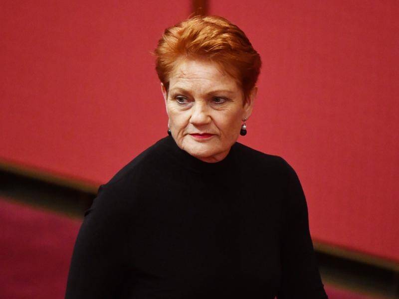 Pauline Hanson has slammed the focus on indigenous culture at the Commwealth Games opening ceremony.