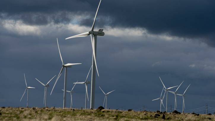 AGL's Macarthur wind farm in western Victoria. Photo: Warrnambool Standard