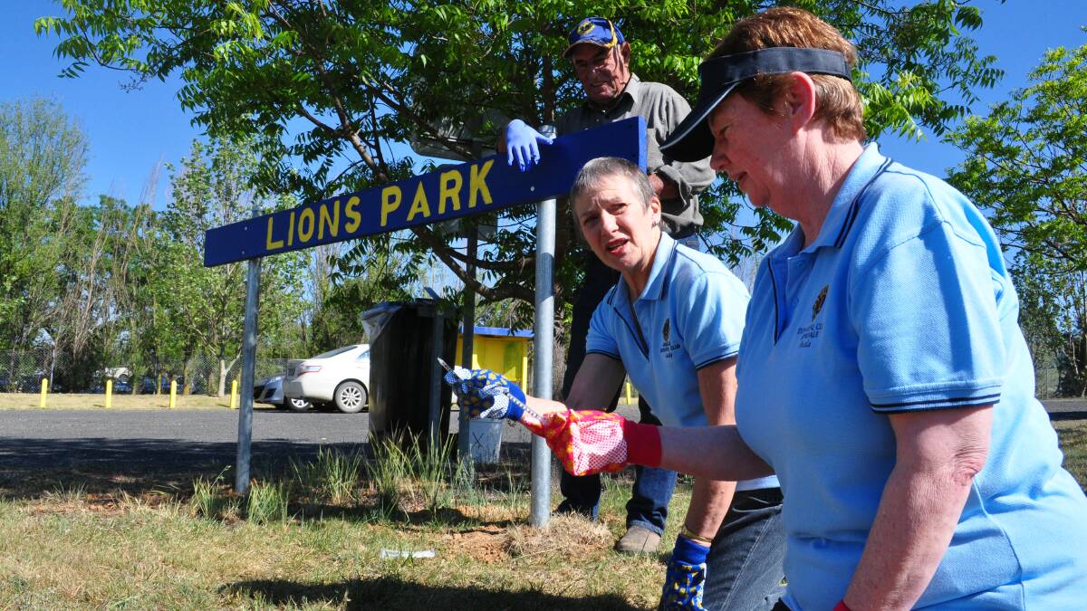 Lions members found several syringes at Lions Park. 