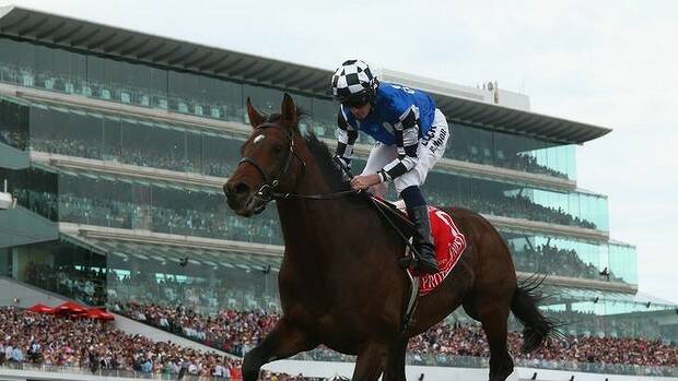 Poll: Melbourne Cup