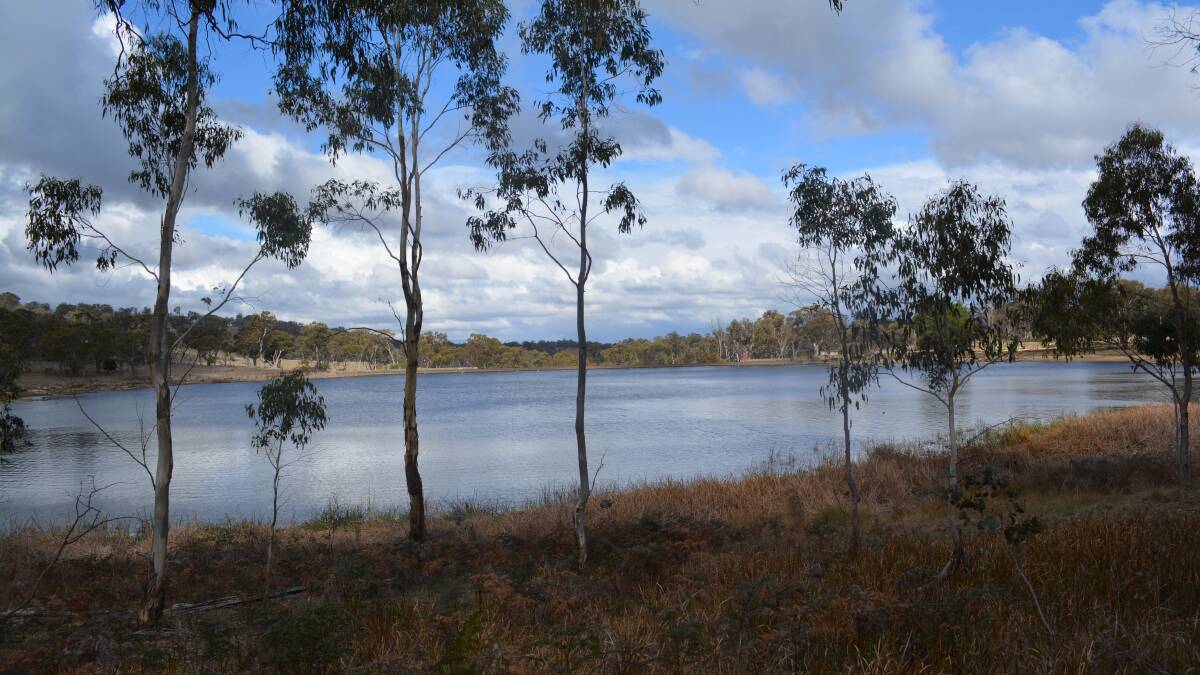 DECISION: Which option would you like to see for Dumaresq Dam?