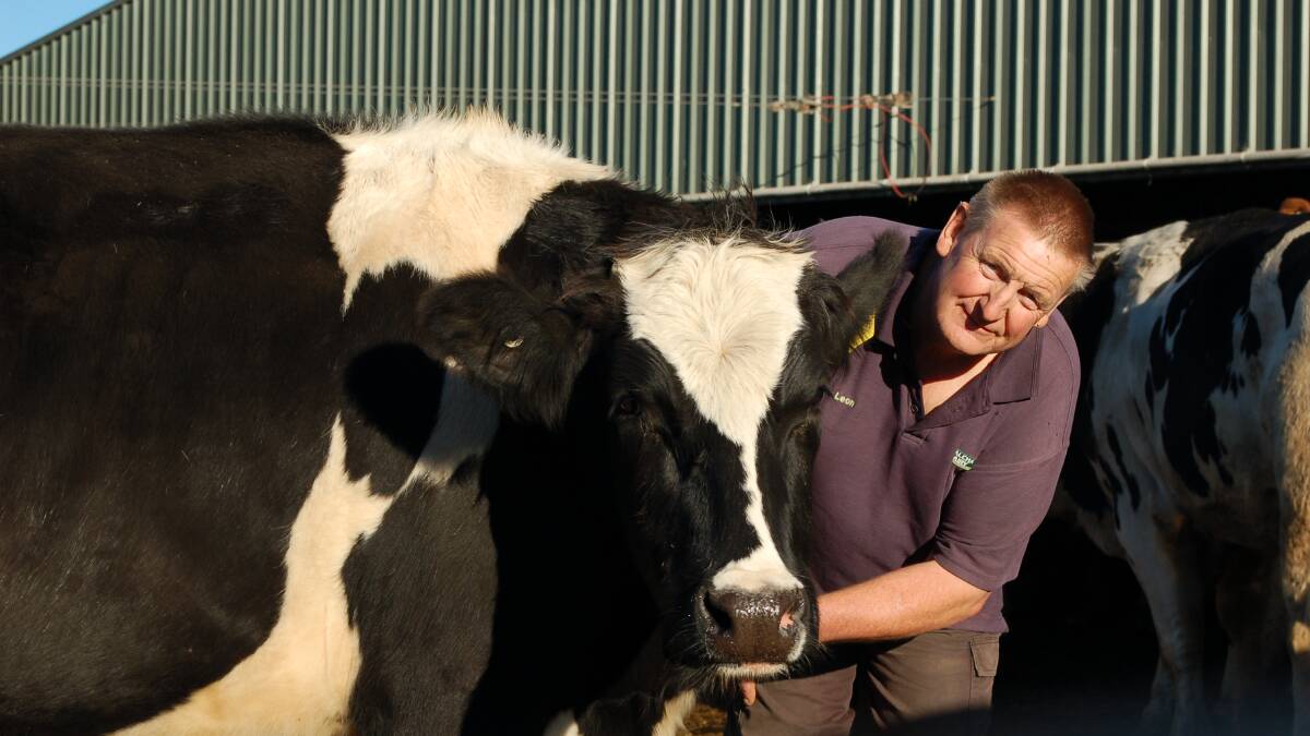 BUY THE BRAND: Walcha Dairy manager Leon McCabe at the property located on Thunderbolt’s Way. The dairy is unsure how the milk crisis will affect them.