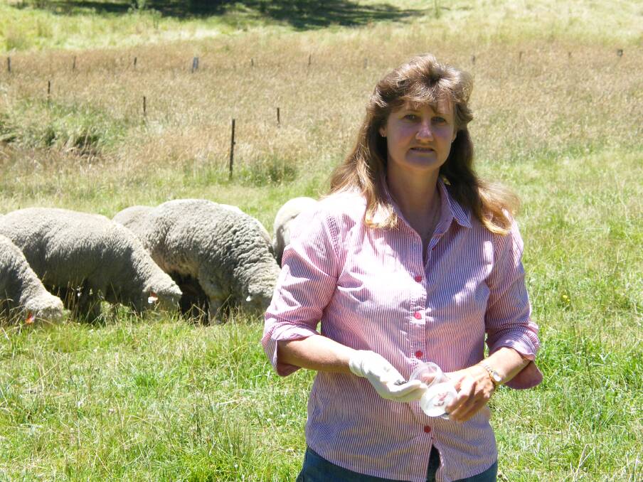 ALTERNATIVE MEANS: Deb Maxwell from ParaBoss will host and present the Sheep Worm Control morning in Guyra on Monday. 