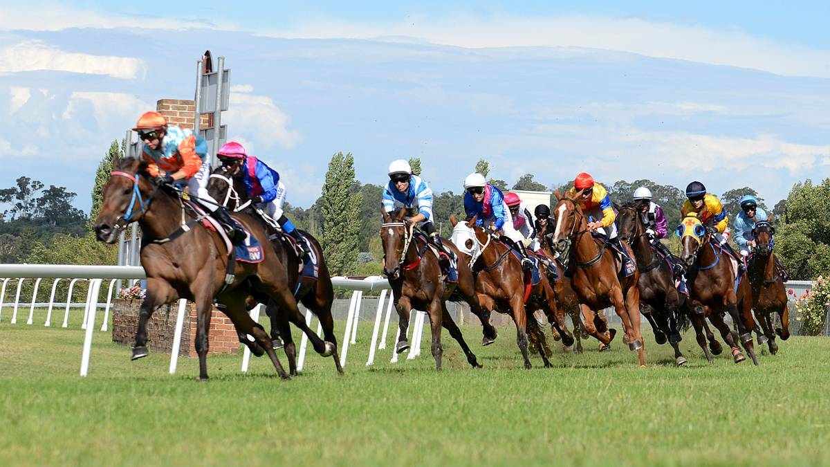 Residents to decide fate of Cup Day holiday
