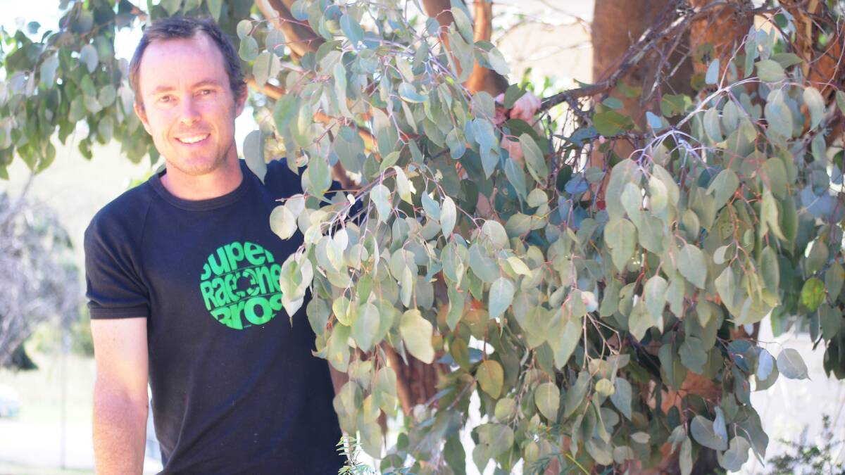 A GROWING CONCERN: UNE honours student Tim Collins said a haul road would destroy 12 endangered eucalypt trees.