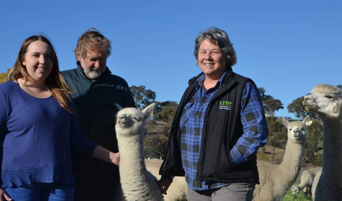 KEEPING GUARD: Honours student Paige Matthews, David Mitchell and Wendy Brown are excited about the study into the behaviour of alpacas.